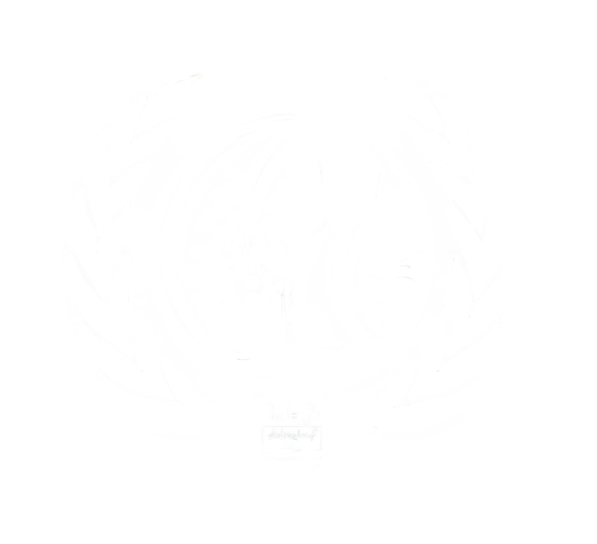 MIUDC Logo